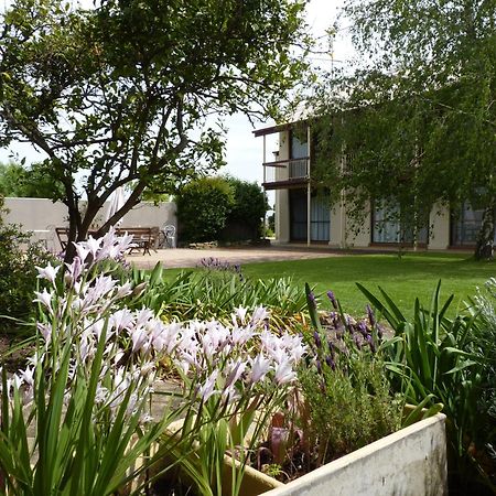 Coonawarra Motor Lodge Penola Bagian luar foto