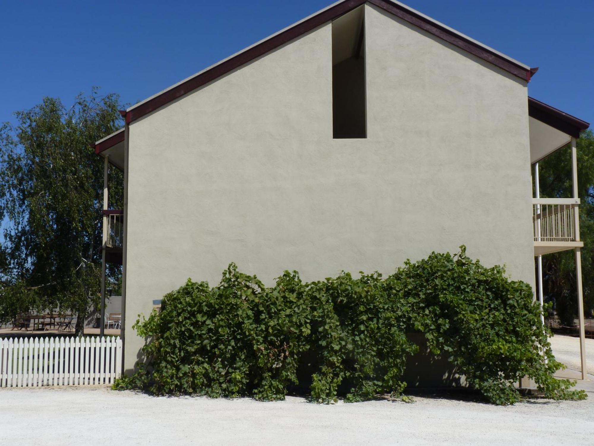 Coonawarra Motor Lodge Penola Bagian luar foto