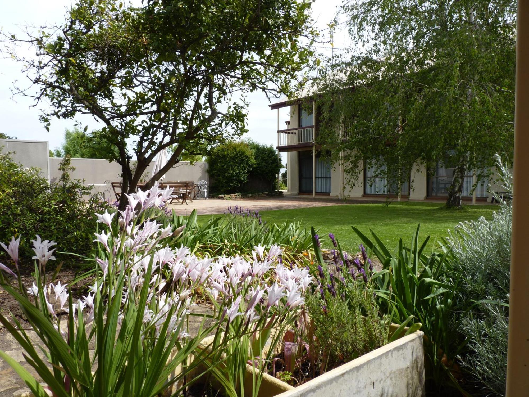 Coonawarra Motor Lodge Penola Bagian luar foto