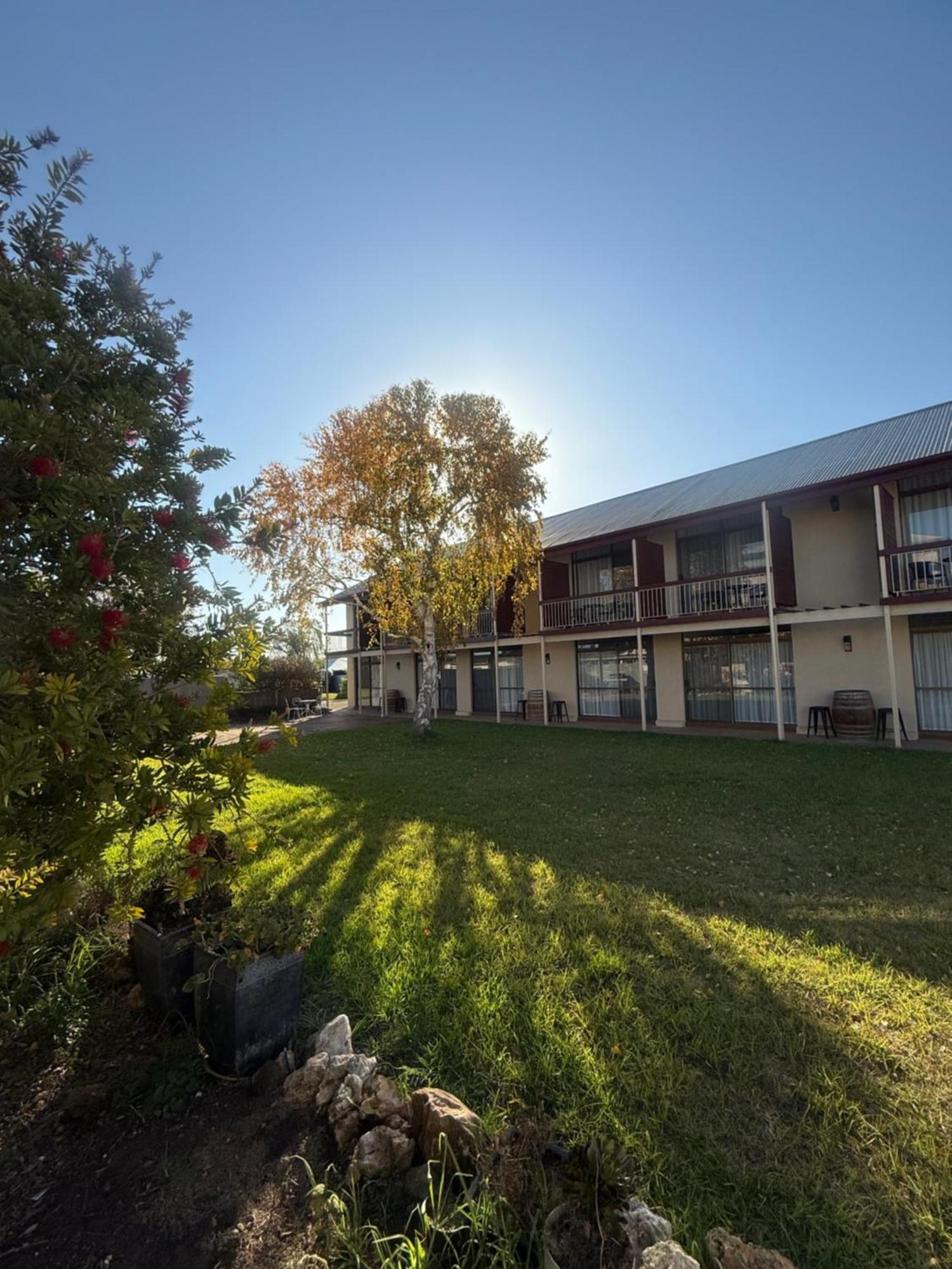 Coonawarra Motor Lodge Penola Bagian luar foto